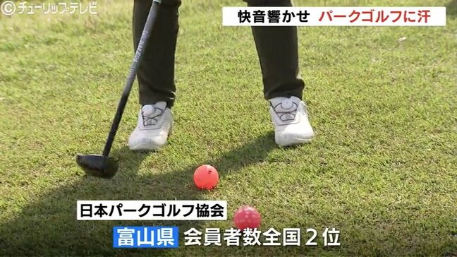 パークゴルフで快音響かせ…富山県オープンチューリップテレビ杯 約80人の愛好家が集結　富山・射水市|TBS NEWS DIG