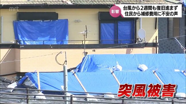 台風10号被害から2週間　宮崎市が被害住宅の修理費用を一部負担する制度の受付始まる|TBS NEWS DIG
