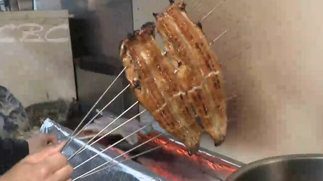 「土用の丑の日」で消費量が伸びるウナギ 注目を集める養殖の新技術 エサに混ぜると大きくて美味しい「かば焼き」が 愛知|TBS NEWS DIG