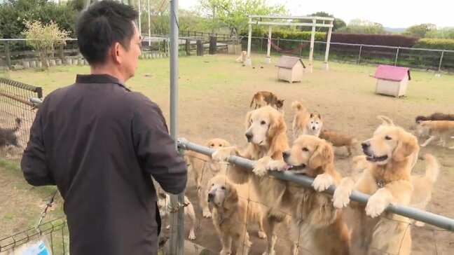 「24時間寄り添う」犬の介護施設 “老犬ホーム” の1日|TBS NEWS DIG