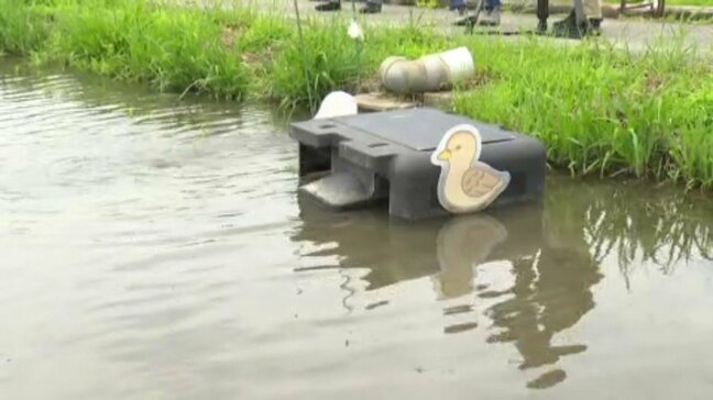 【農業にDXを】新開発の「アイガモロボ2」で“スマート版合鴨農法”へ 愛媛・松山市|TBS NEWS DIG