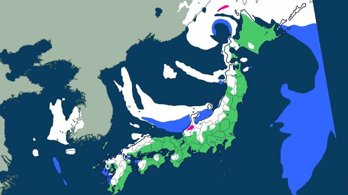 【大雪最新情報】日本海側を中心に25日にかけて大雪　平地でも警報級の大雪となるおそれ　各地の予想降雪量【大雪と雨のシミュレーション】|TBS NEWS DIG