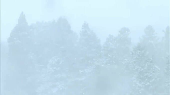 強い寒気が流れ込み瀬戸内地方は強風や雪　岡山県北では積雪と厳しい冷え込み　交通機関への影響も【岡山】|TBS NEWS DIG