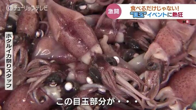 どれだけ遠くに飛ばせるのか？　旬なホタルイカを使ったある“目玉”イベントに参加者が大熱狂！　富山・滑川市　|　富山のニュース｜天気・防災｜チューリップテレビ