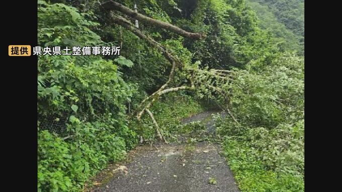 江の川沿いの県道 倒木のため通行止め（９日午前１０時現在）　8日に110ミリの雨が降り「記録的短時間大雨情報」発表された島根県邑南町　|TBS NEWS DIG