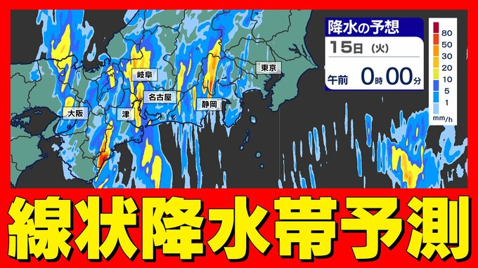 東海地方に【線状降水帯 予測情報】今夜からあす昼前にかけて 大雨災害発生のおそれ【30分ごとの雨シミュレーション】線状降水帯が予測された理由   愛知・岐阜・三重・静岡|TBS NEWS DIG