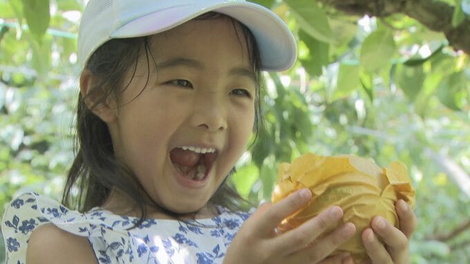 【秋の味覚】観光農園でブドウ・ナシ狩り始まる「果物がおいしくなる条件がそろった年」|TBS NEWS DIG