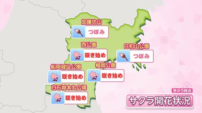 【3日宮城の天気】晴れて気温上昇・仙台で最高気温17℃【花粉・サクラ開花状況掲載】夕方まで強風に注意　tbc気象台|TBS NEWS DIG