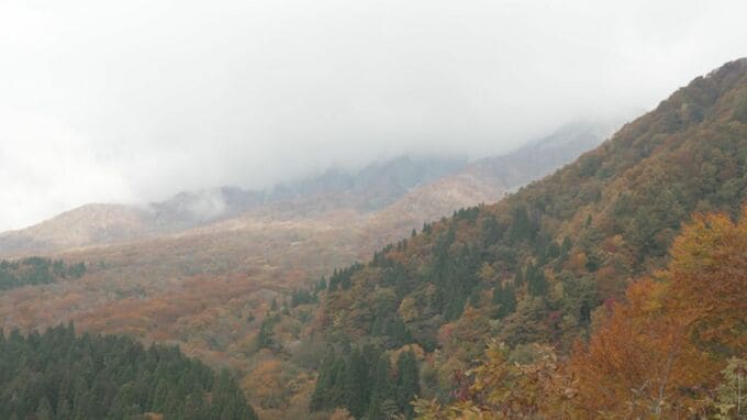 紅葉が見ごろ…大山「鍵掛峠」には県内外から大勢の人|TBS NEWS DIG
