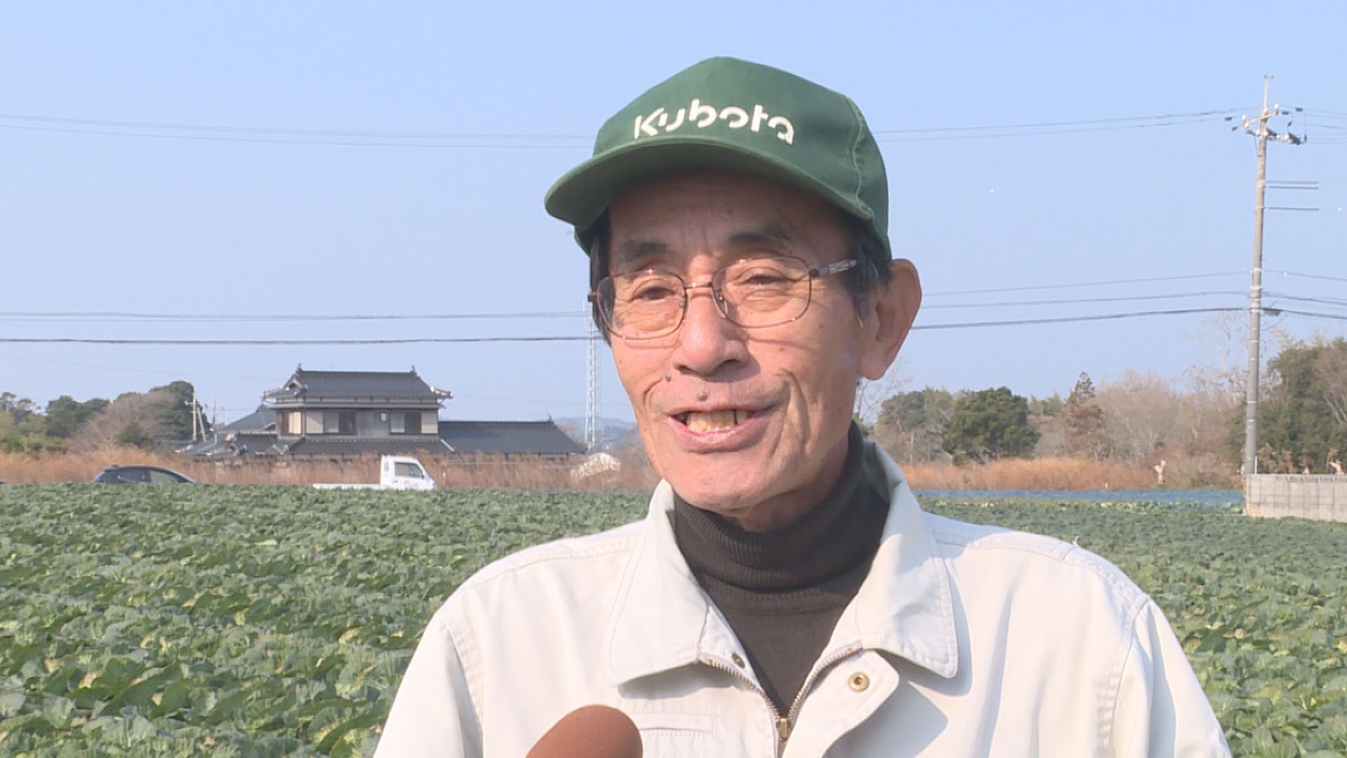 ブランドキャベツ“ソフトろまん”出荷最盛期「ほんわりとしたソフトな