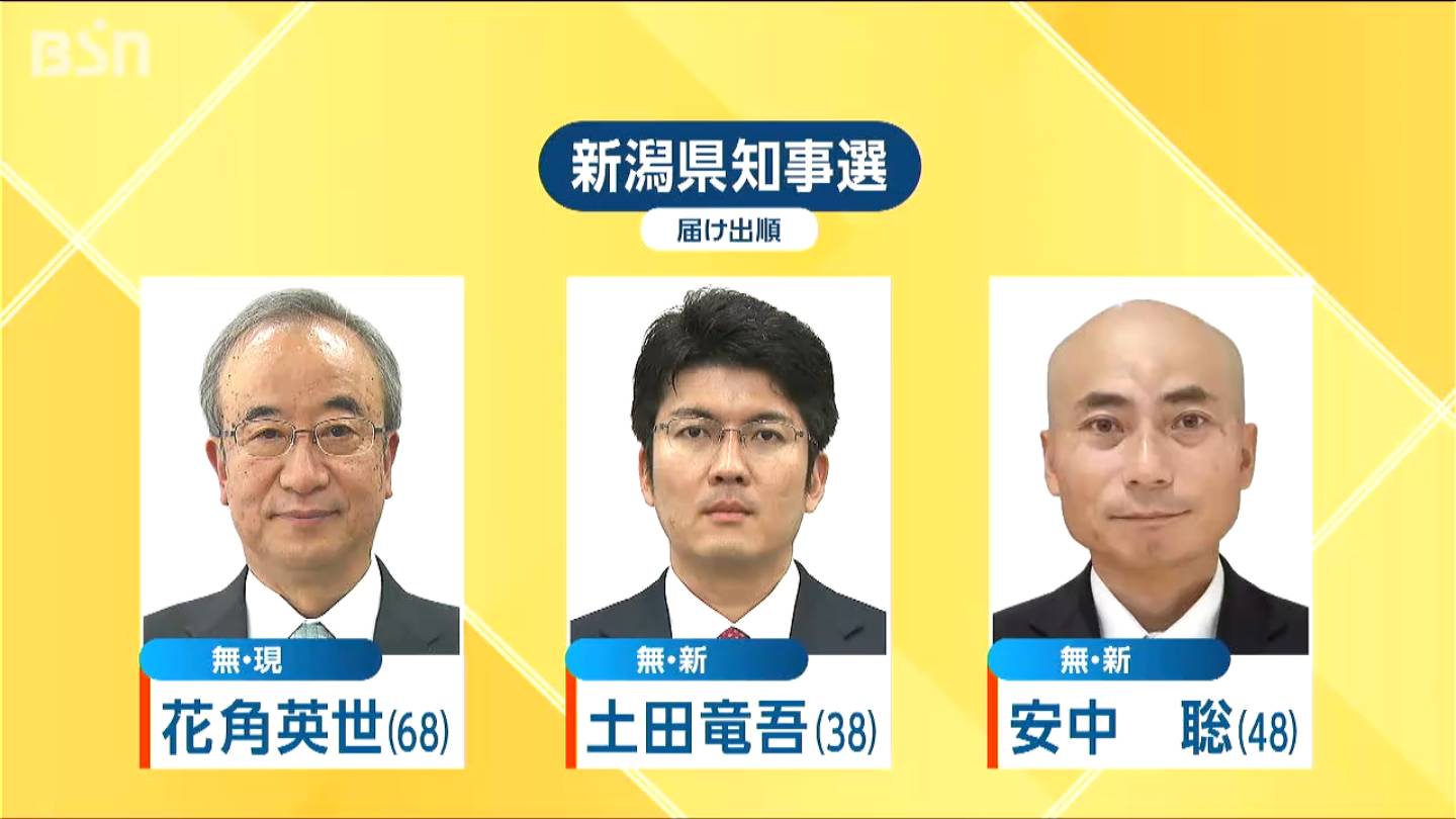 新潟 県 知事