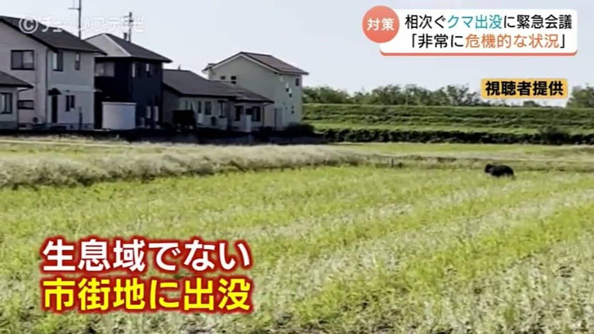 クマ大量出没の富山県内 年間の捕獲上限170頭に迫る勢い 県「翌年度の