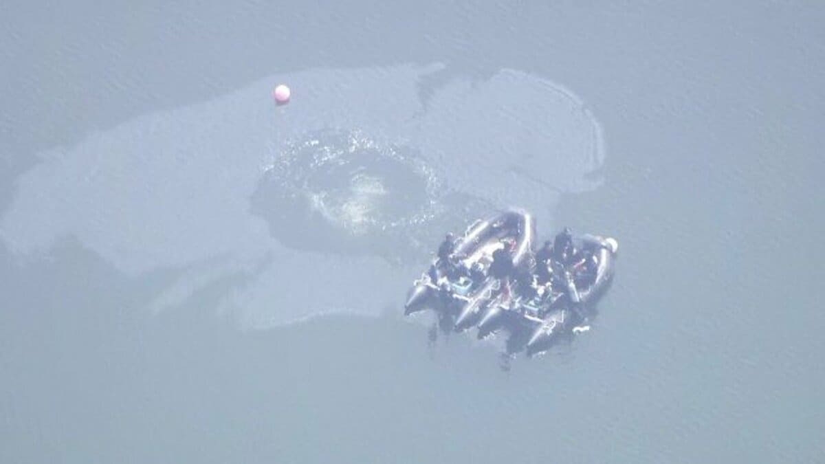 しごき確認画像 油”が浮いているのを新たに確認 自衛隊機の墜落事故から1週間 搭乗員2