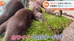 「カワイイ」はあえて使わない 水族館が“意外なメッセージ”|TBS NEWS DIG
