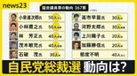 自民党総裁選 JNNの取材で明らかになった国会議員票の動向でトップは小泉進次郎氏…あとを追うのは小林鷹之氏【news23】|TBS NEWS DIG