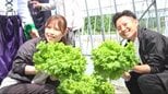 農業や自然を身近に感じて…長野・富士見町の観光農場…野菜が育つ仕組み学ぶ新たな「体験型プログラム」開始へ…5月23日から週末限定|TBS NEWS DIG