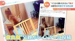 イスから降りられない柴犬 6歳男児の素敵すぎる救出劇|TBS NEWS DIG