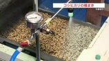 渇水の影響は? 天草市で早期米の種まき 熊本|TBS NEWS DIG