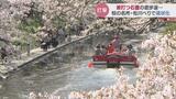 富山の桜の名所“松川べり”で波打つ遊歩道…液状化被害で名物「遊覧船」の運航見通せず | 富山のニュース|天気・防災|チューリップテレビ