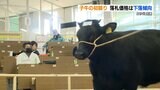 子牛の初競り 物価高で落札価格は下落傾向 ここにもロシアのウクライナ侵攻の影響 | 熊本のニュース|RKK NEWS|RKK熊本放送