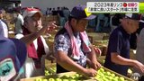 リンゴ生産量日本一の青森県で２０２３年産の初競り始まる「非常に良いスタート」青果市場にも活気|TBS NEWS DIG