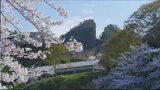ユネスコ本部のあるパリで『佐渡島の金山』を各国大使に直接アピール 新潟県知事と佐渡市長がコメントを発表|TBS NEWS DIG