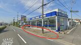 ビッグモーター店舗前で街路樹が枯れる問題 愛知県西尾市の店舗前でも確認 愛知県は土壌調査の実施も検討 | 名古屋・愛知・岐阜・三重のニュース【CBC news】 | CBC web