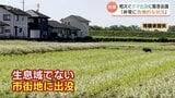 クマ大量出没の富山県内　年間の捕獲上限170頭に迫る勢い　県「翌年度の頭数含めての管理問題なし」　|TBS NEWS DIG