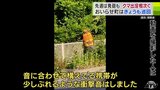 発砲は約6年半ぶり 「クマ」の目撃情報が止まらない青森県 付近の住人は不安を募らせる「すぐには捕まえられないのだろうけど…」 全域に出没注意報【動画あり】 | 青森のニュース│ATV NEWS│青森テレビ
