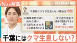 東京のクマ目撃が3倍に急増…一方で千葉はゼロ?専門家が指摘する“地形の壁”と自治体の対策 【Nスタ解説】|TBS NEWS DIG