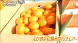 ”甘みが凝縮してみずみずしい” 姉妹都市 愛媛・宇和島市特産のミカン販売 宮城・大崎市|TBS NEWS DIG