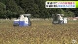 秋晴れのなか「ソバの実」の収穫進む 例年並み72トンほどの収穫見込む 「「寒い地域なのでソバの風味がしっかり入るのが魅力」 青森県東通村 | 青森のニュース│ATV NEWS│青森テレビ