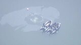 “油”が浮いているのを新たに確認 自衛隊機の墜落事故から1週間 搭乗員2人の捜索活動続く 隣接する「博物館明治村」は24日(土)から営業再開 | 名古屋・愛知・岐阜・三重のニュース【CBC news】 | CBC web