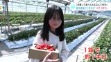 「収穫しながら食べられるなんて幸せ」観光農園で小学生が“イチゴ狩り”|TBS NEWS DIG