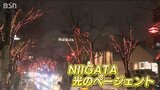 新潟の冬の風物詩『NIIGATA光のページェント』点灯 今年は“クラウドファンディング”を活用 | 新潟のニュース・天気|BSN NEWS|BSN新潟放送