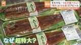 「土用の丑の日」物価高でも…あの手この手の“うなぎ商戦” 大手スーパーの目玉は「超特大」|TBS NEWS DIG