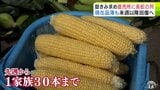 糖度メロン並の約18度ブランドトウモロコシ「嶽きみ」求めて 朝から150人以上の長蛇の列 今週は品薄で1家族30本までの販売制限も 収穫ピークは来週「焦らない方は来週のお買い求めを」岩木山の自然が生んだ旬の味 | 青森のニュース│ATV NEWS│青森テレビ