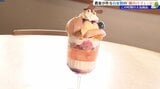 夏に人気の旬の味 リンゴ農家が作る桃のパフェ 岩手・奥州市|TBS NEWS DIG