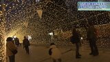 冬の街に光あふれる 「もりおかイルミネーションブライト」始まる 中心部7か所に計15万個の電球 2月29日まで|TBS NEWS DIG