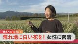 荒れ果てたごみ山を再生し…“そばの花”咲く映えスポットに 耕作放棄地の復活に取り組む女性に密着 | 名古屋・愛知・岐阜・三重のニュース【CBC news】 | CBC web