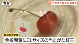 「100個ぐらい食べたい」究極の大粒さくらんぼ "やまがた紅王" が給食に(山形) | 山形のニュース│TUYテレビユー山形