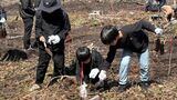 「20年後のかつお節のために森をつくる」指宿鰹節協会が「指宿鰹節の森」で植樹活動 鹿児島・南九州市 | 鹿児島のニュース|MBC NEWS|南日本放送