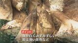 豊作「おしりが湿って大きい」おいしいタケノコを見分けて感動のフルコースを堪能 富山・高岡市 | 富山のニュース|天気・防災|チューリップテレビ