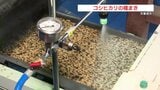 渇水の影響は？　天草市で早期米の種まき　熊本　|　熊本のニュース｜RKK NEWS｜RKK熊本放送