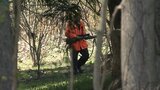 山菜採りの70代夫婦がクマに襲われけが 顔などを引っかかれる 岩手・八幡平市|TBS NEWS DIG
