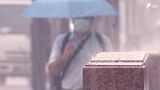 【速報】台風8号 伊豆半島に上陸 引き続き大雨に警戒を | 静岡のニュース | SBSNEWS | 静岡放送
