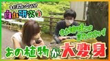一見地味な植物“コケ”が大変身!? まだ間に合う!自由研究 ~自然の不思議~ | 愛媛のニュース - Nスタえひめ|あいテレビは6チャンネル