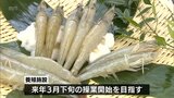 木質バイオマスを活用 「白甘えび」の完全国産養殖を目指す陸上養殖施設が串間市に建設へ|TBS NEWS DIG