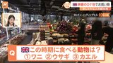 ロンドン「ノッティングヒルの恋人」の街にある新鮮な食材店からすたすた中継！日本ではあまり食卓に並ばないうさぎ肉が店頭に！？|TBS NEWS DIG