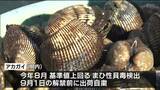「やっと漁ができる」アカガイ漁が“3か月遅れて”解禁 豊洲などに出荷 宮城・名取市|TBS NEWS DIG
